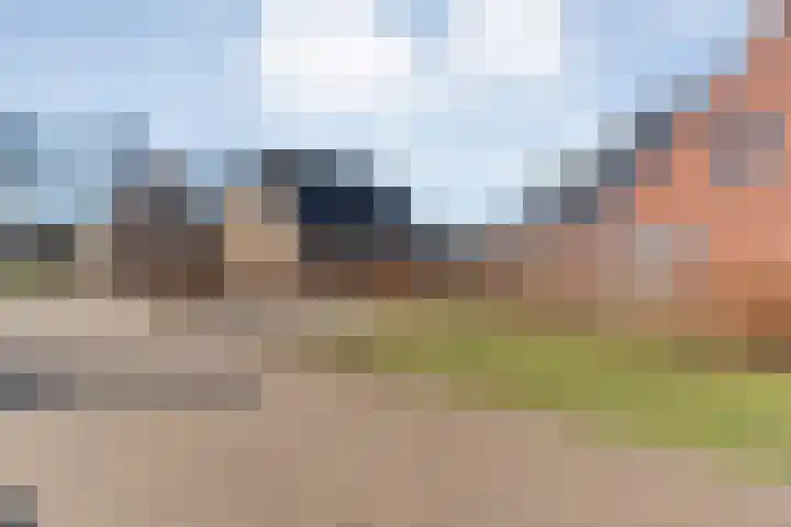 de Marke 9 Dalerveen thumbnail 7