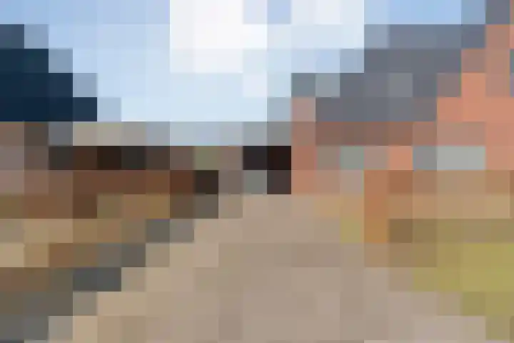 de Marke 9 Dalerveen thumbnail 8
