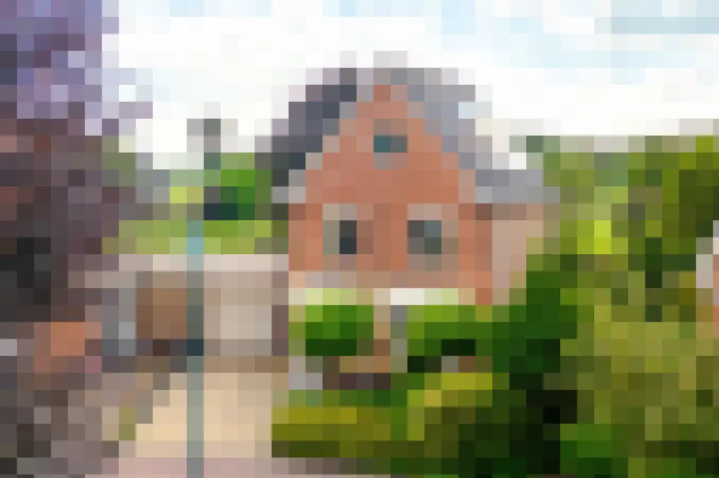 De Marke van Leusen 10 in Nieuwleusen