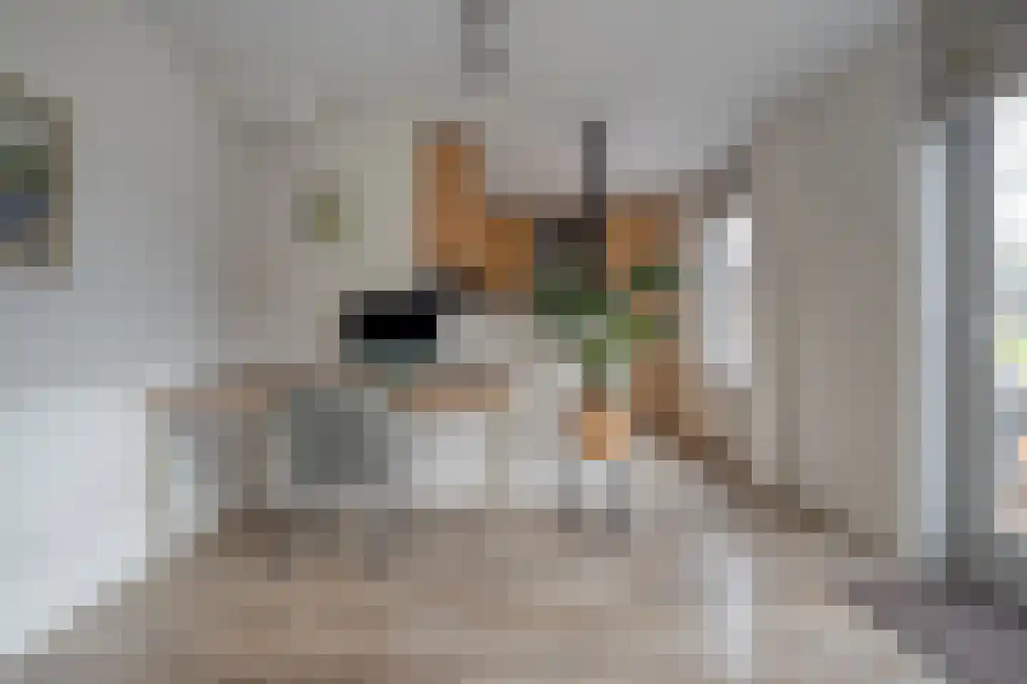De Marke van Leusen 10 Nieuwleusen thumbnail 16