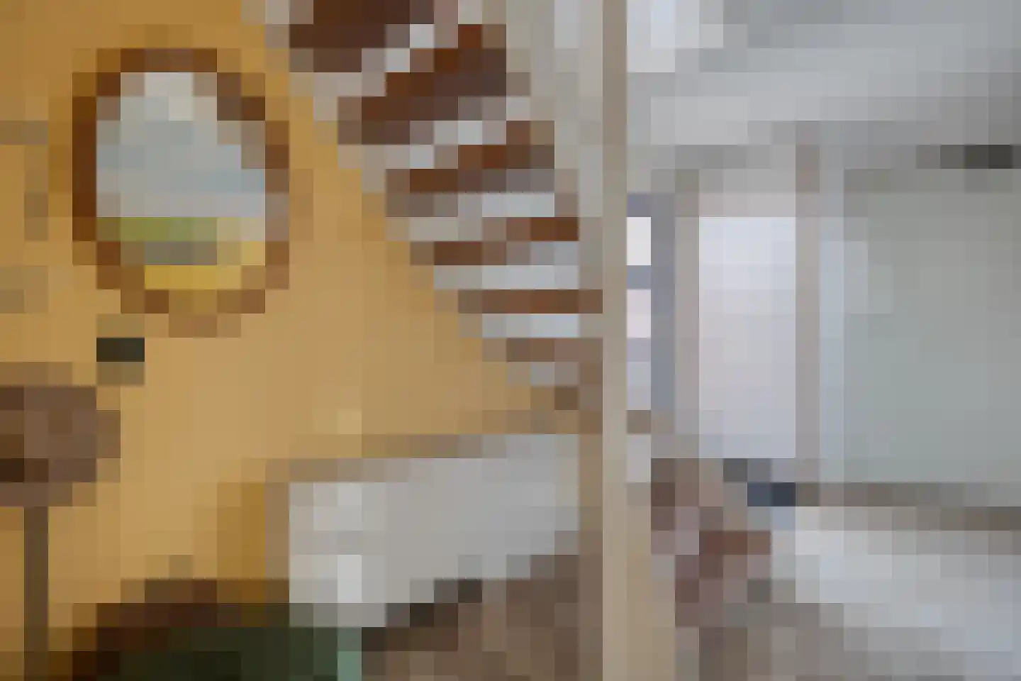 De Marke van Leusen 10 Nieuwleusen thumbnail 20