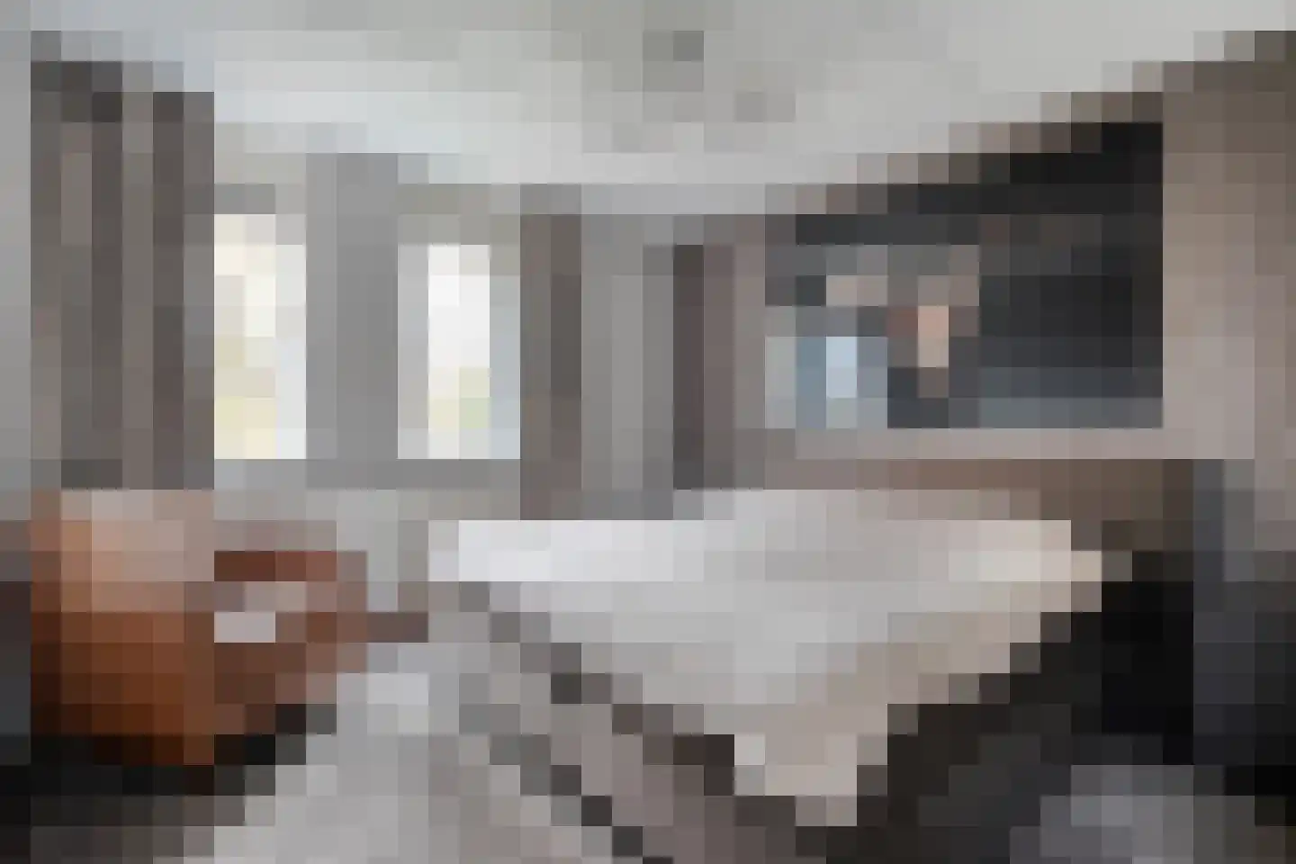 De Marke van Leusen 10 Nieuwleusen thumbnail 24