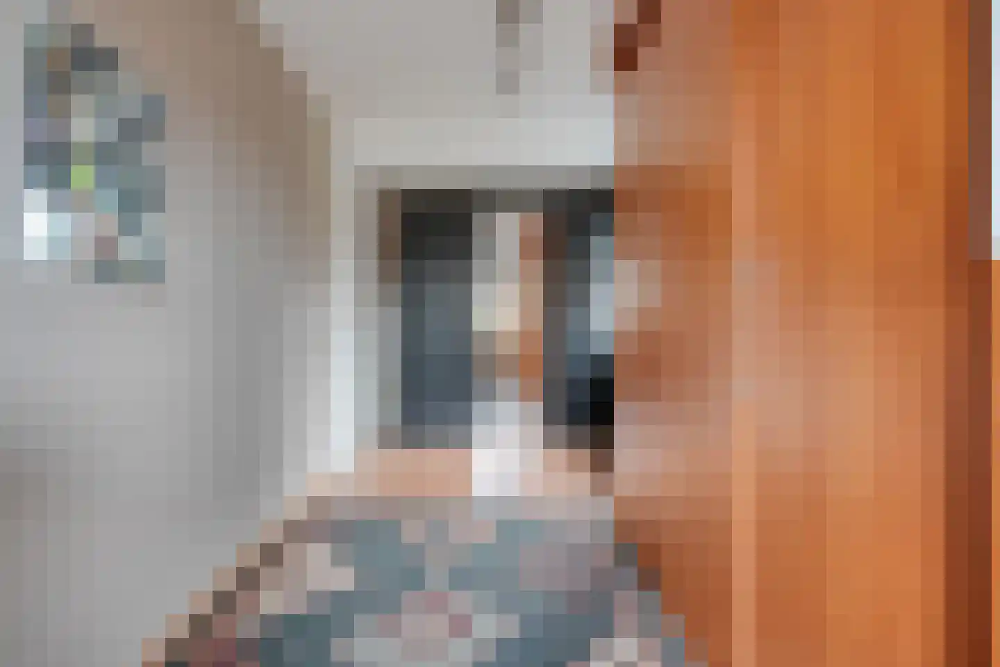De Marke van Leusen 10 Nieuwleusen thumbnail 27