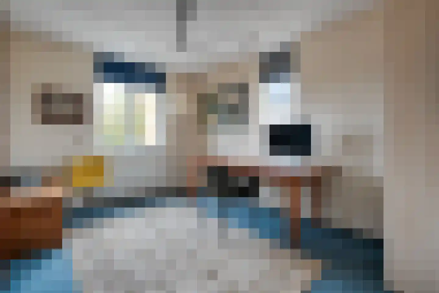 De Marke van Leusen 10 Nieuwleusen thumbnail 28