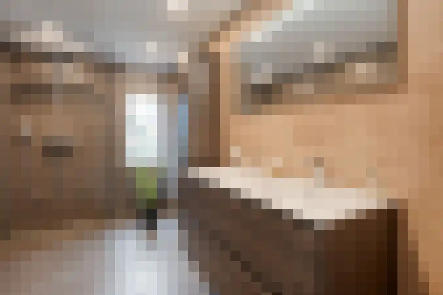 De Marke van Leusen 10 Nieuwleusen thumbnail 30