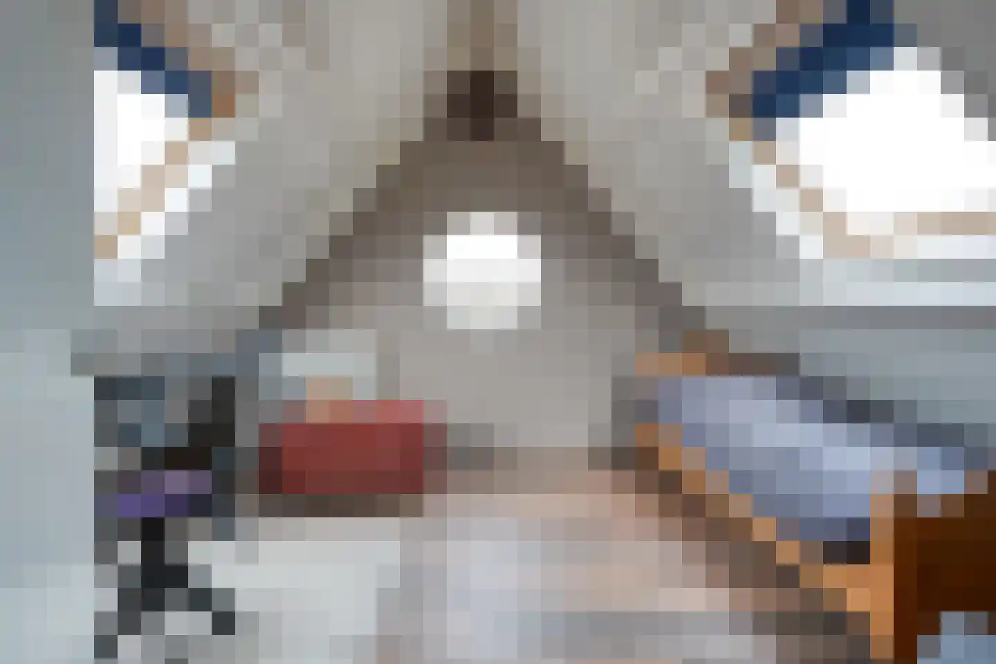 De Marke van Leusen 10 Nieuwleusen thumbnail 32