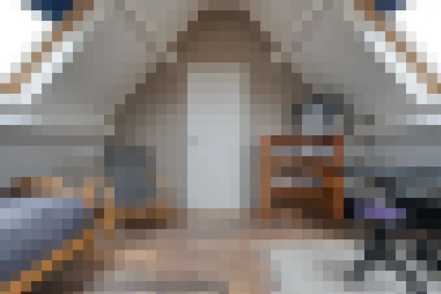 De Marke van Leusen 10 Nieuwleusen thumbnail 33
