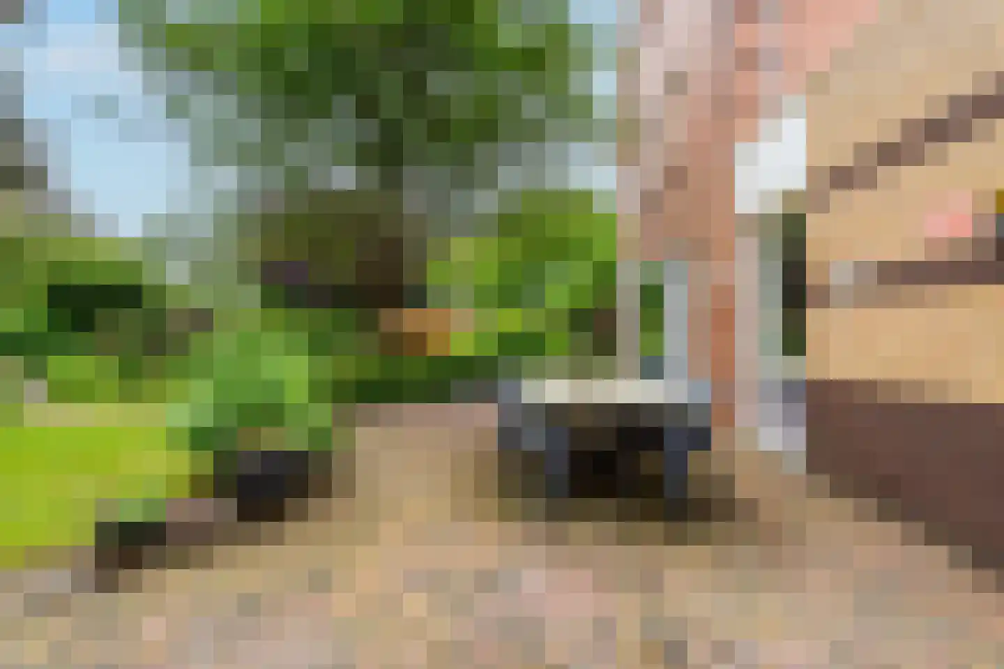 De Marke van Leusen 10 Nieuwleusen thumbnail 36
