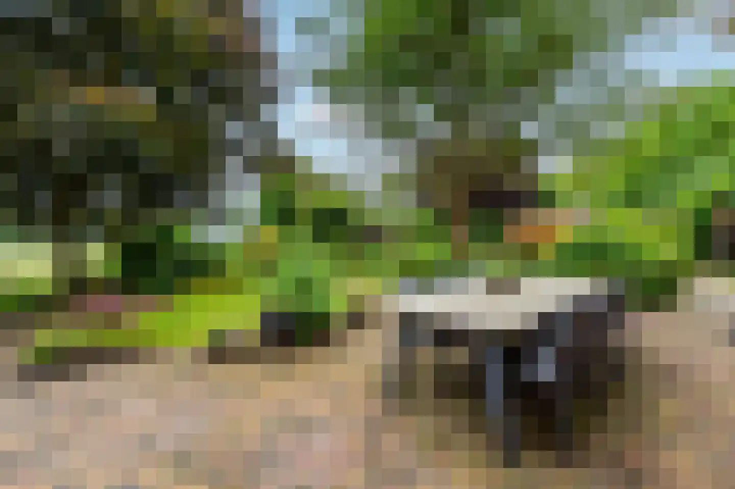 De Marke van Leusen 10 Nieuwleusen thumbnail 37