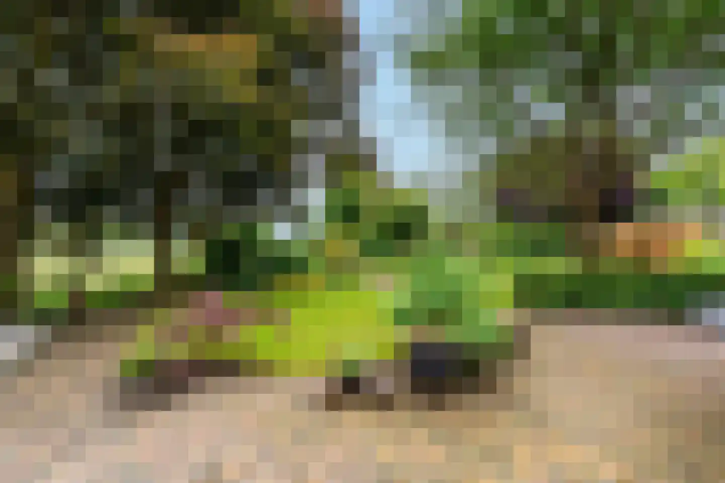 De Marke van Leusen 10 Nieuwleusen thumbnail 38