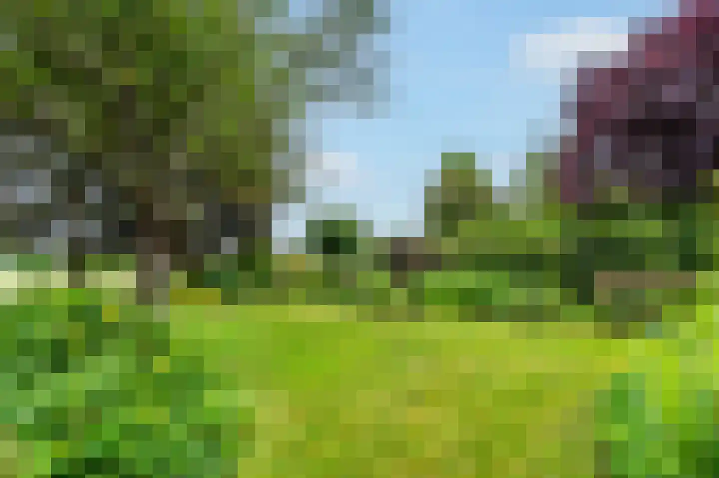 De Marke van Leusen 10 Nieuwleusen thumbnail 40