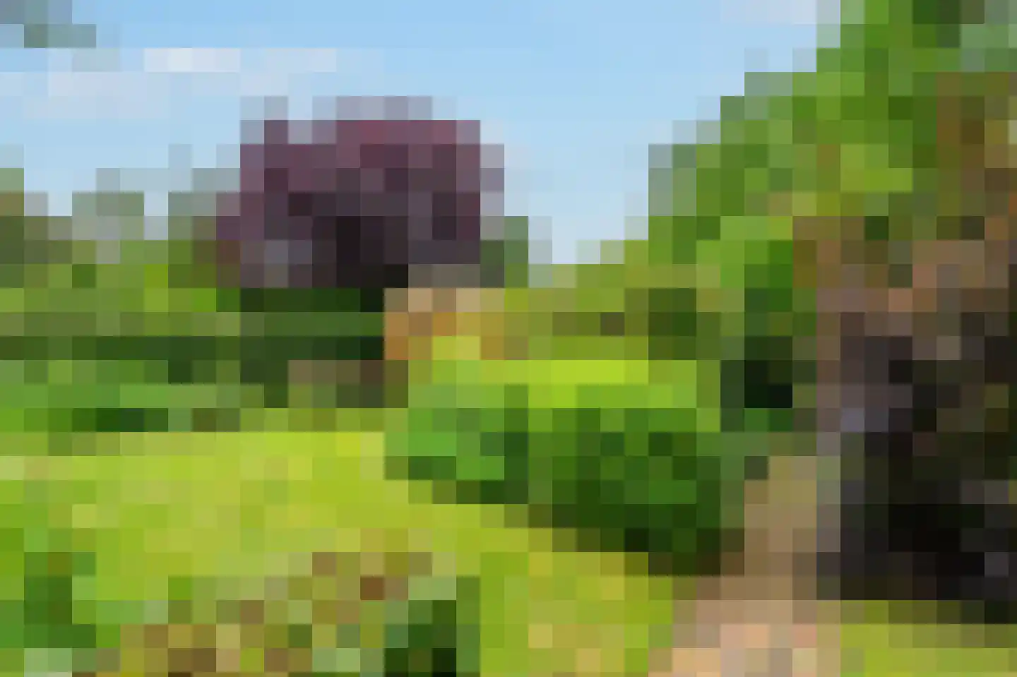 De Marke van Leusen 10 Nieuwleusen thumbnail 41