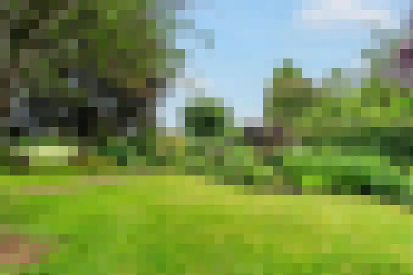 De Marke van Leusen 10 Nieuwleusen thumbnail 42