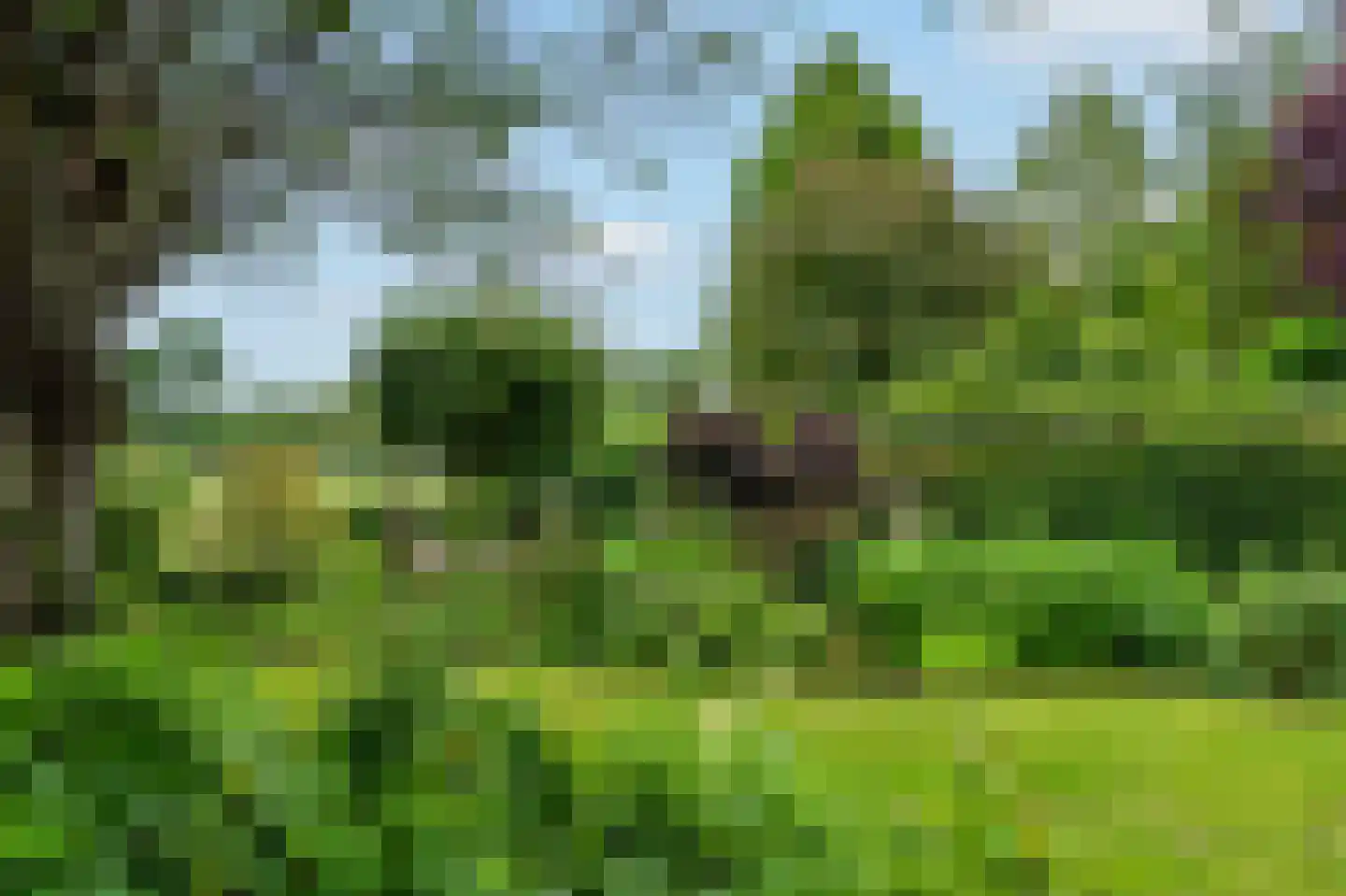 De Marke van Leusen 10 Nieuwleusen thumbnail 43
