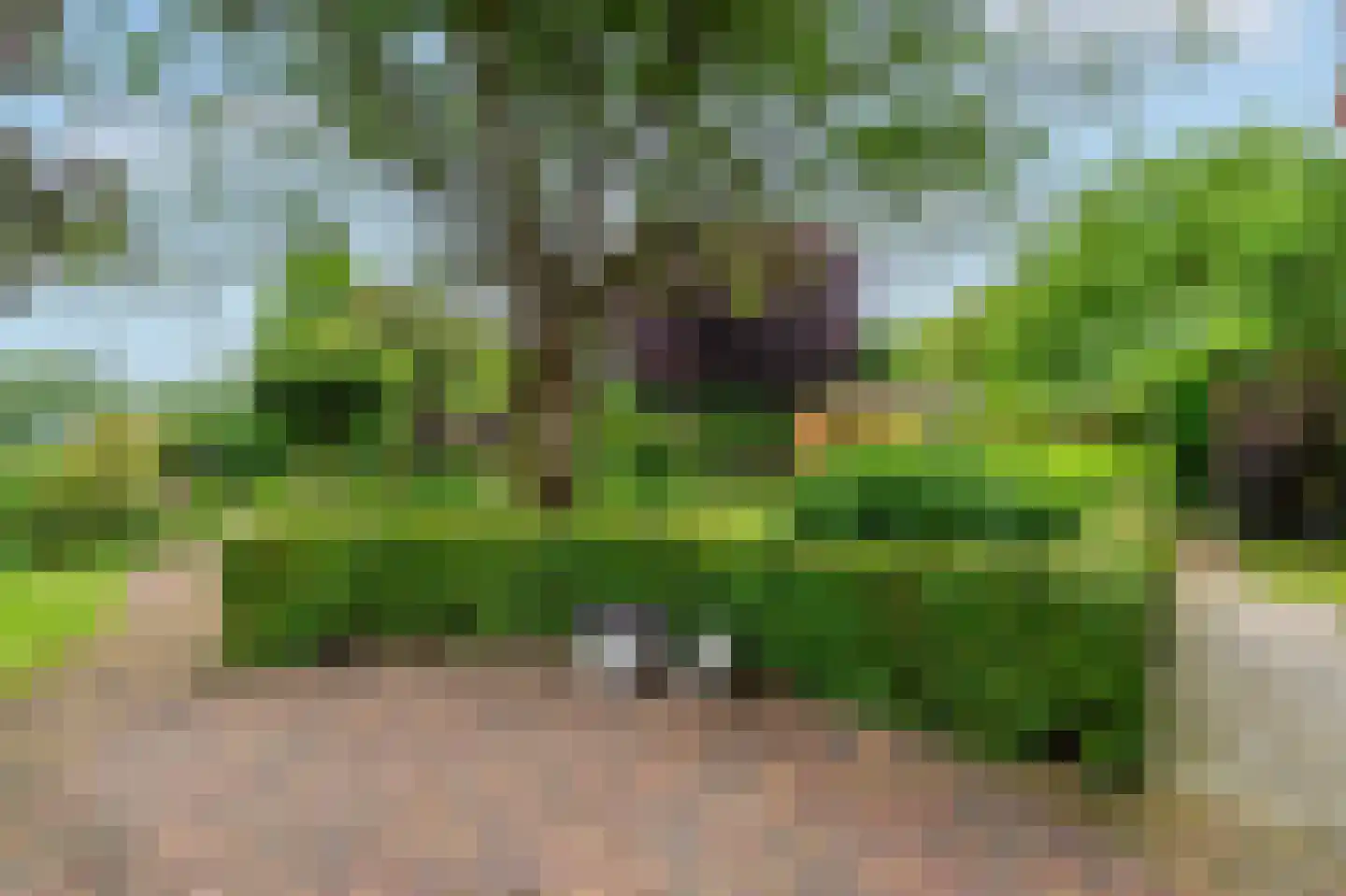 De Marke van Leusen 10 Nieuwleusen thumbnail 44