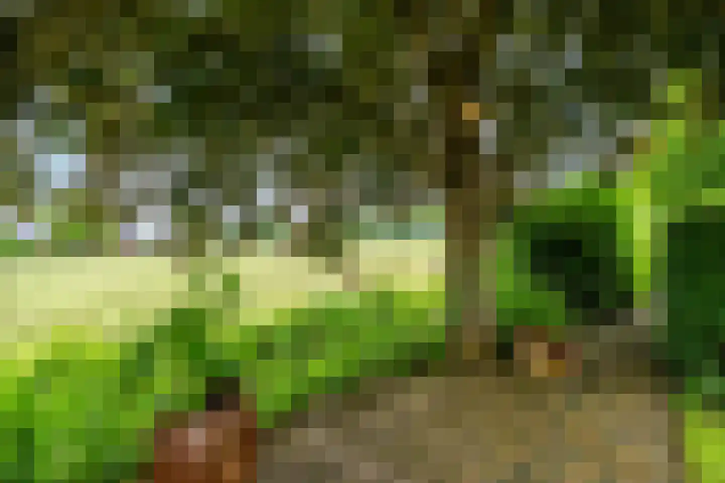 De Marke van Leusen 10 Nieuwleusen thumbnail 47