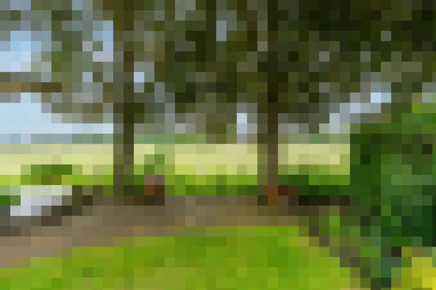 De Marke van Leusen 10 Nieuwleusen thumbnail 48