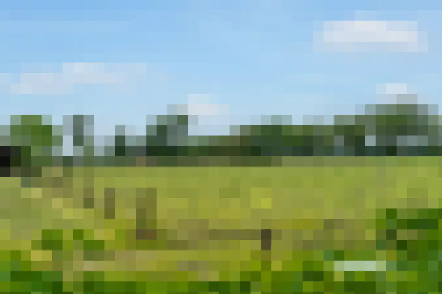 De Marke van Leusen 10 Nieuwleusen thumbnail 49