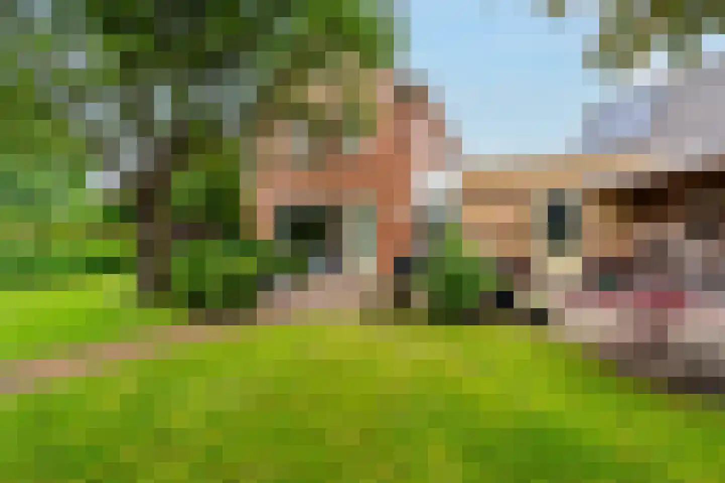 De Marke van Leusen 10 Nieuwleusen thumbnail 50