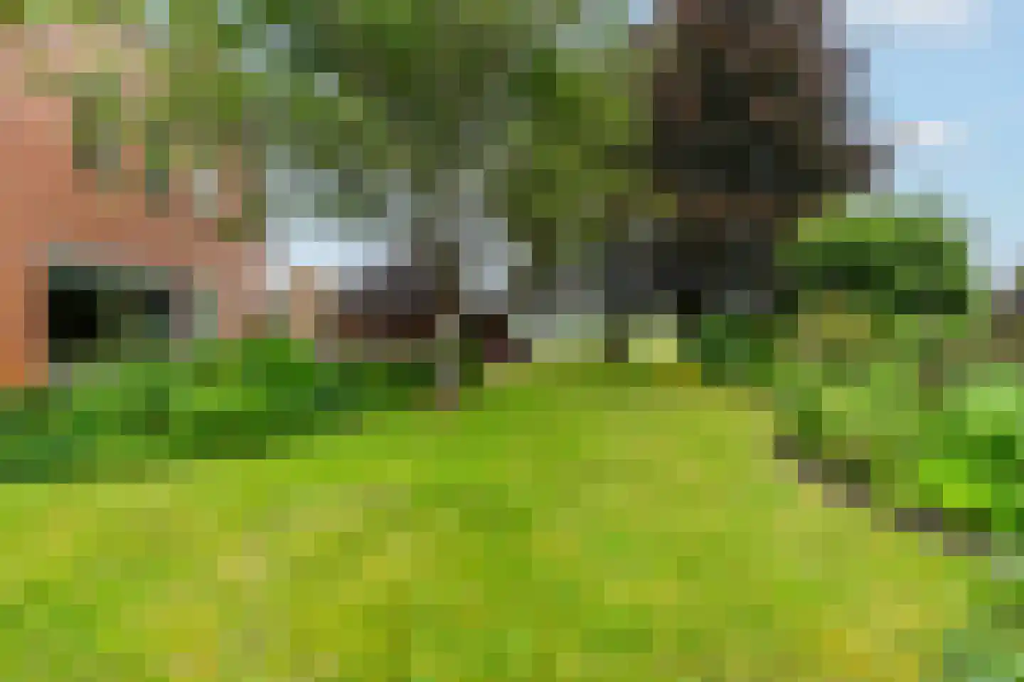 De Marke van Leusen 10 Nieuwleusen thumbnail 51