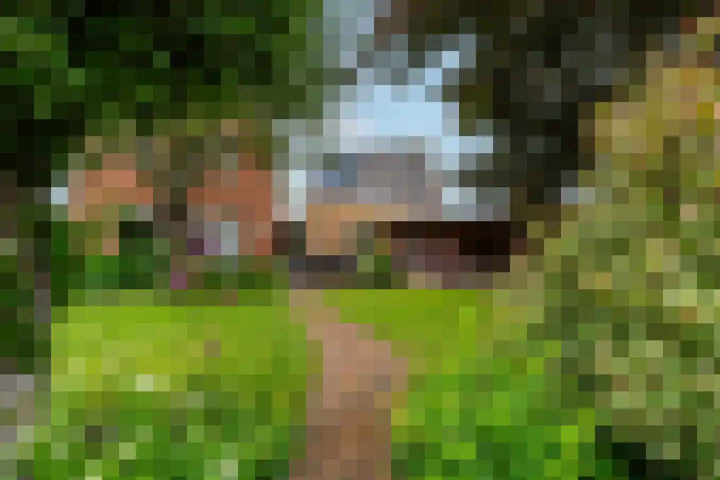De Marke van Leusen 10 Nieuwleusen thumbnail 52