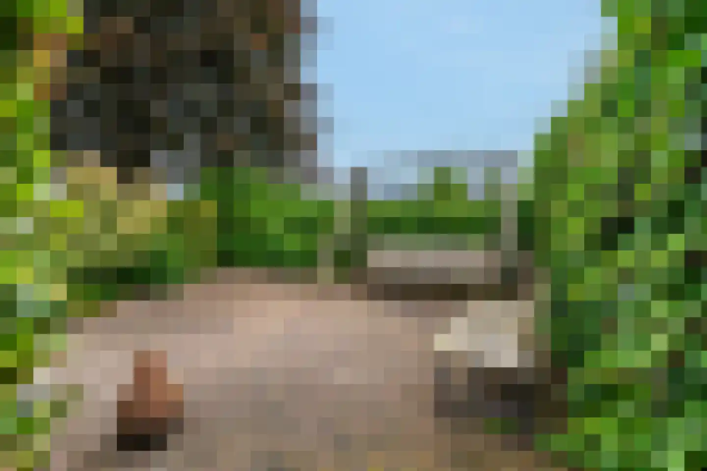 De Marke van Leusen 10 Nieuwleusen thumbnail 53