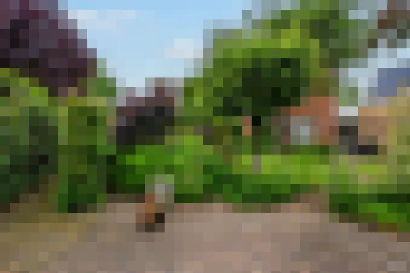 De Marke van Leusen 10 Nieuwleusen thumbnail 54