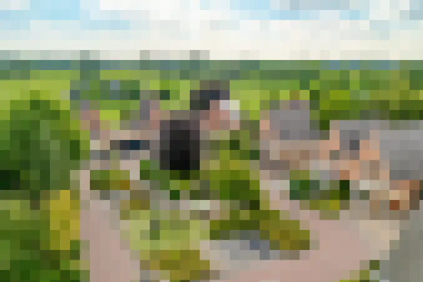De Marke van Leusen 10 Nieuwleusen thumbnail 62