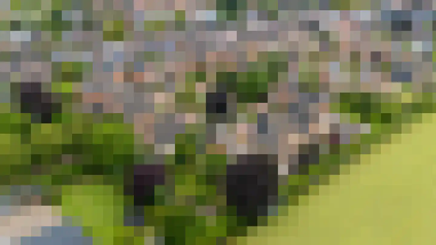 De Marke van Leusen 10 Nieuwleusen thumbnail 63