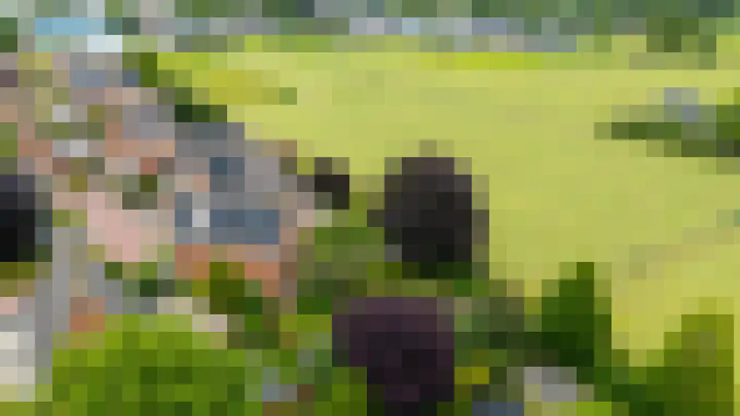 De Marke van Leusen 10 Nieuwleusen thumbnail 64