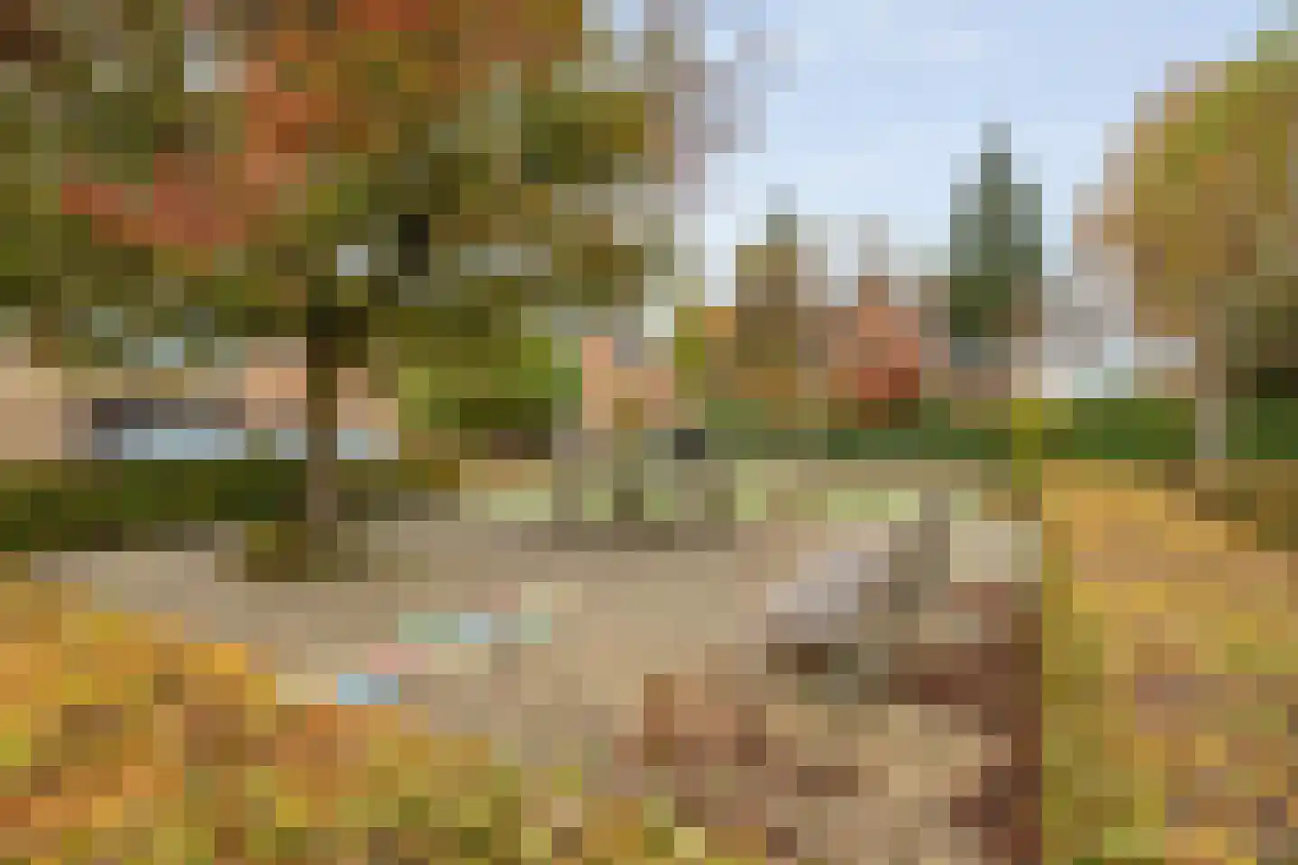 De Marke van Leusen 10 Nieuwleusen thumbnail 66