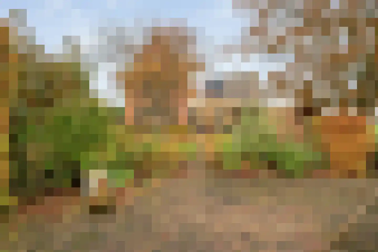 De Marke van Leusen 10 Nieuwleusen thumbnail 68
