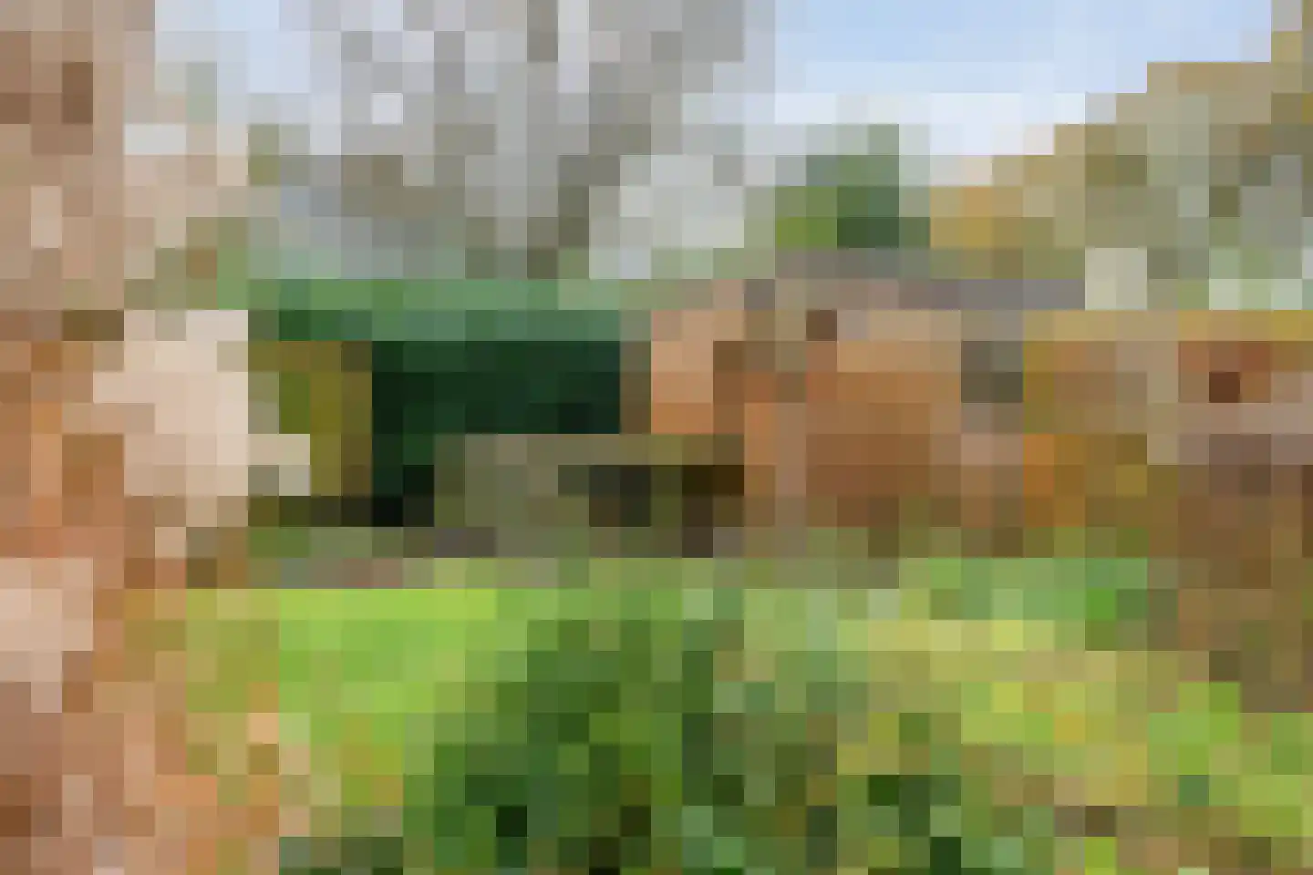De Marke van Leusen 10 Nieuwleusen thumbnail 69