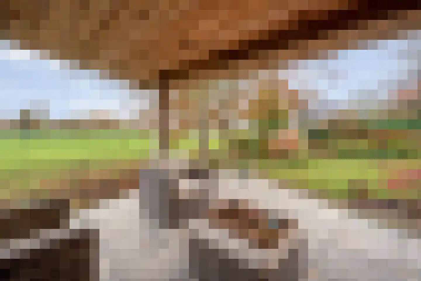 De Marke van Leusen 10 Nieuwleusen thumbnail 70