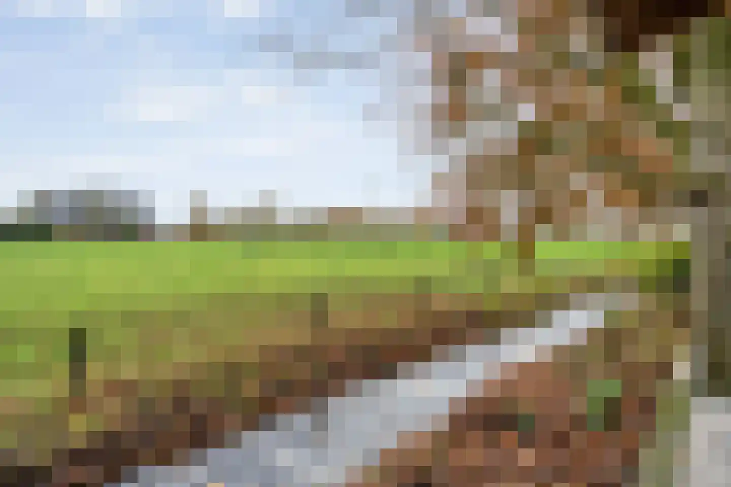 De Marke van Leusen 10 Nieuwleusen thumbnail 71