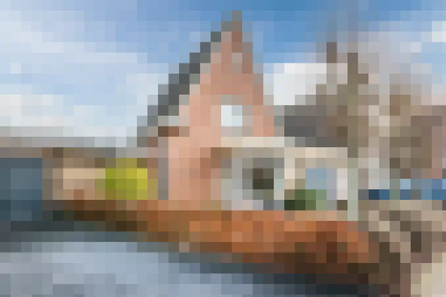 De Marke van Leusen 20 in Nieuwleusen