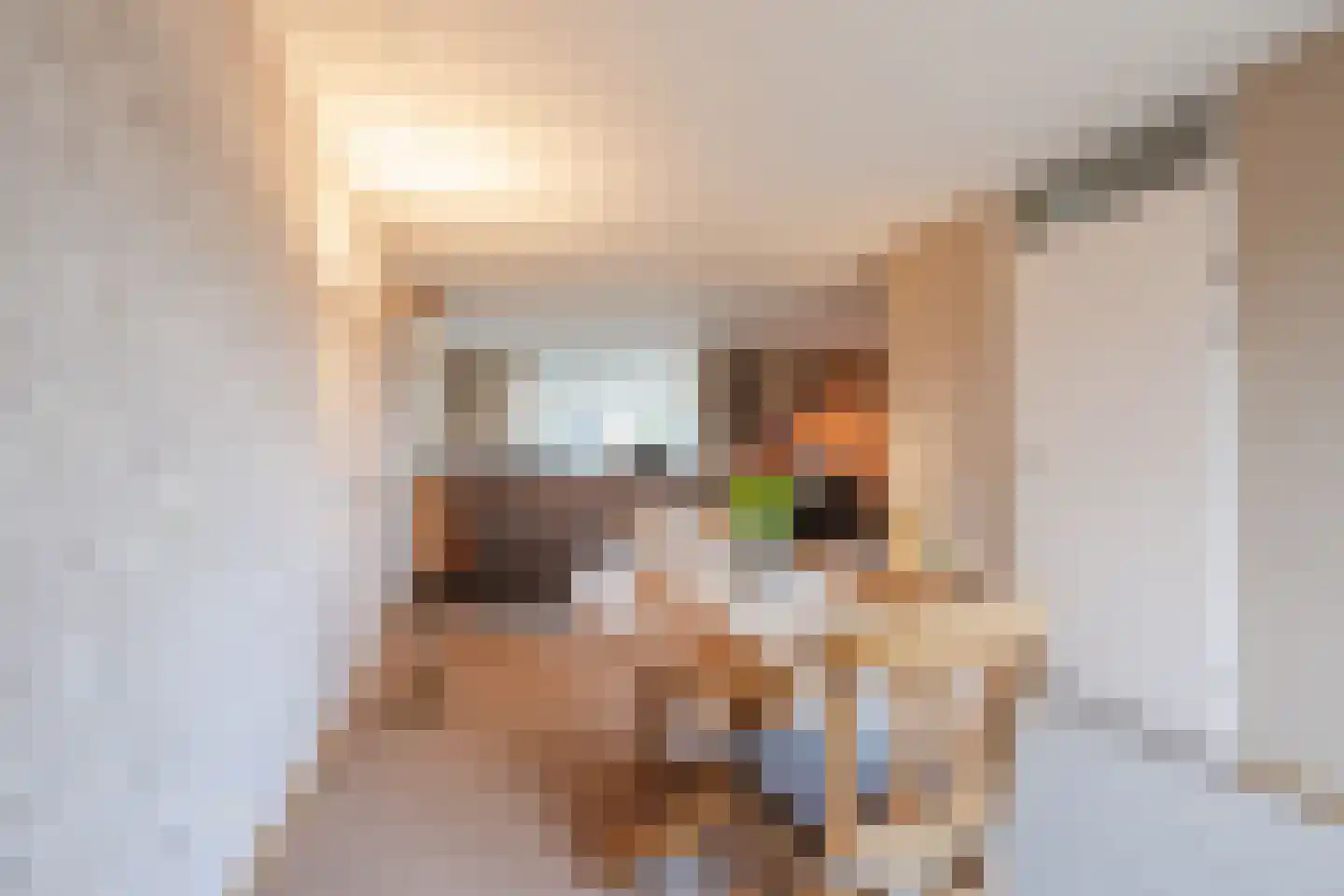 De Marke van Leusen 20 Nieuwleusen thumbnail 17