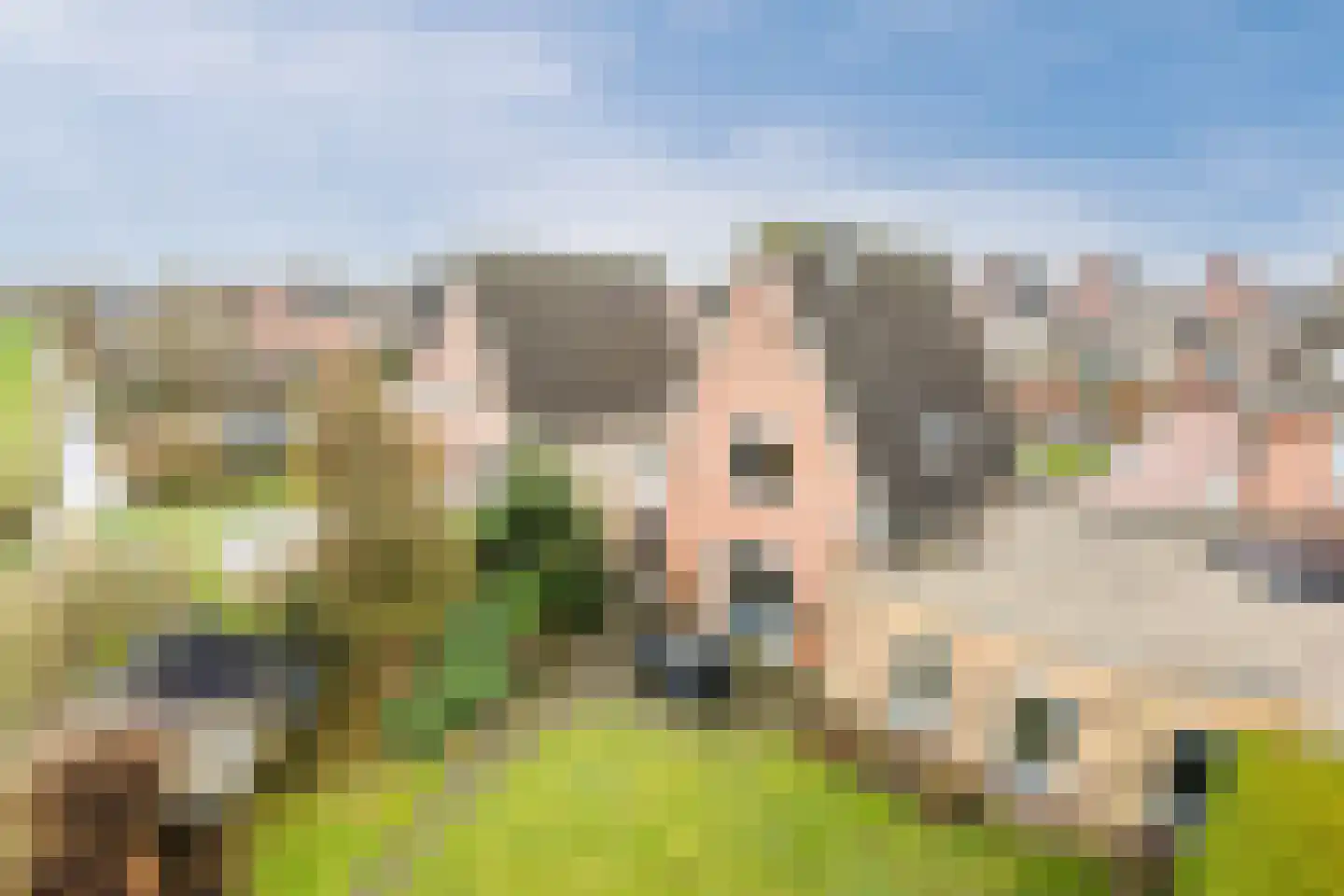 De Marke van Leusen 20 Nieuwleusen foto 2