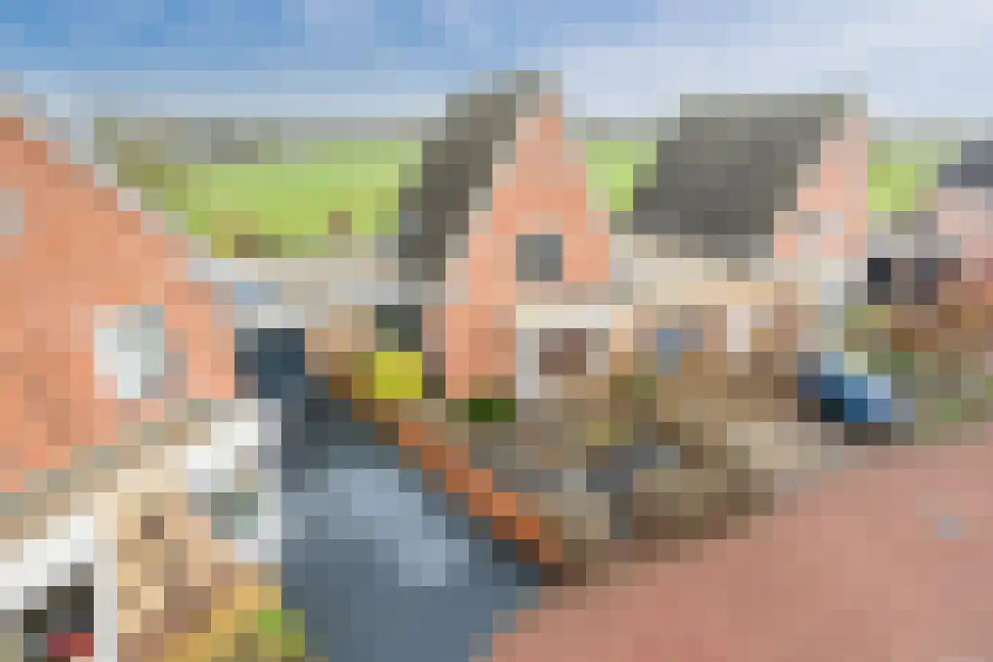 De Marke van Leusen 20 Nieuwleusen thumbnail 4