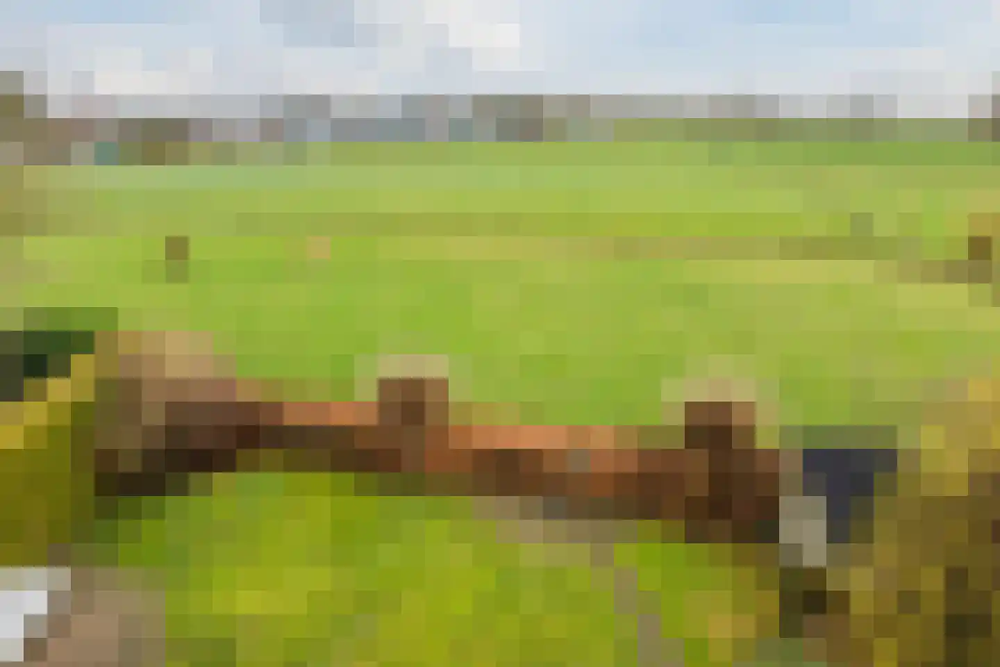 De Marke van Leusen 20 Nieuwleusen thumbnail 46
