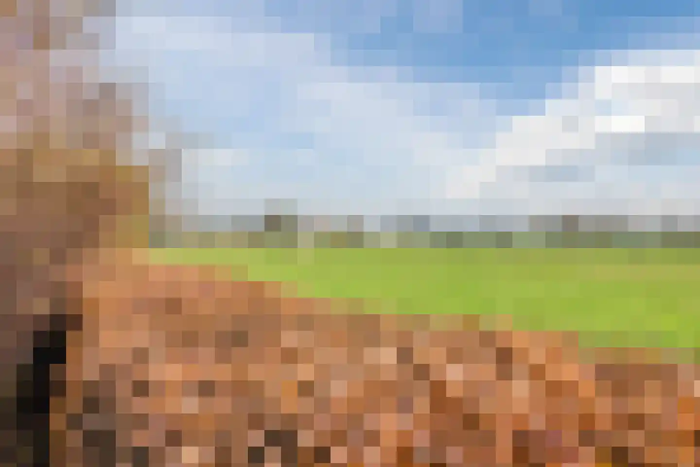 De Marke van Leusen 20 Nieuwleusen thumbnail 54