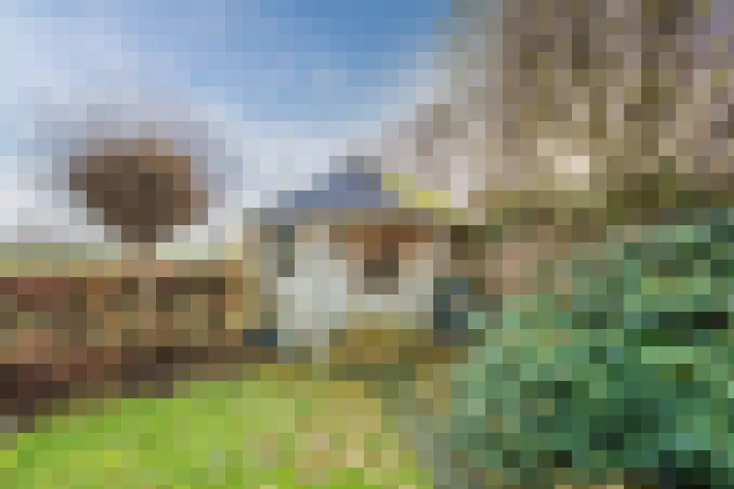 De Marke van Leusen 20 Nieuwleusen thumbnail 55