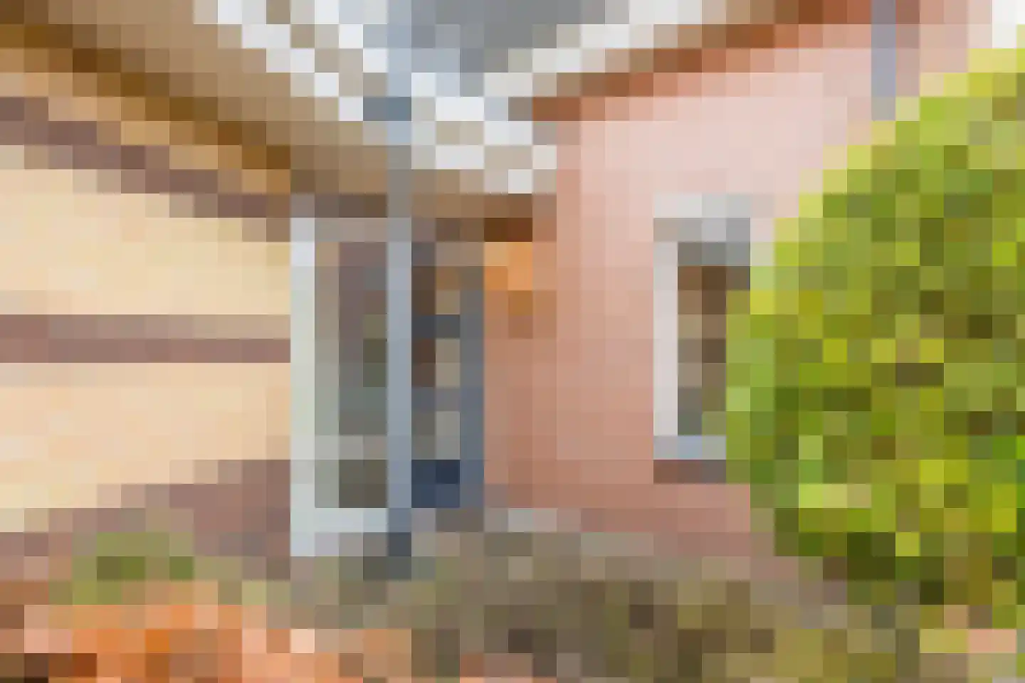 De Marke van Leusen 20 Nieuwleusen thumbnail 8