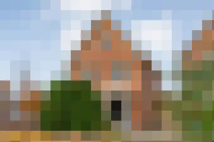 De Marke van Leusen 24 en Nieuwleusen