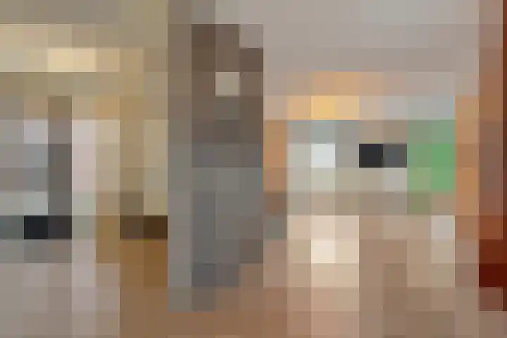 De Marke van Leusen 24 Nieuwleusen thumbnail 11