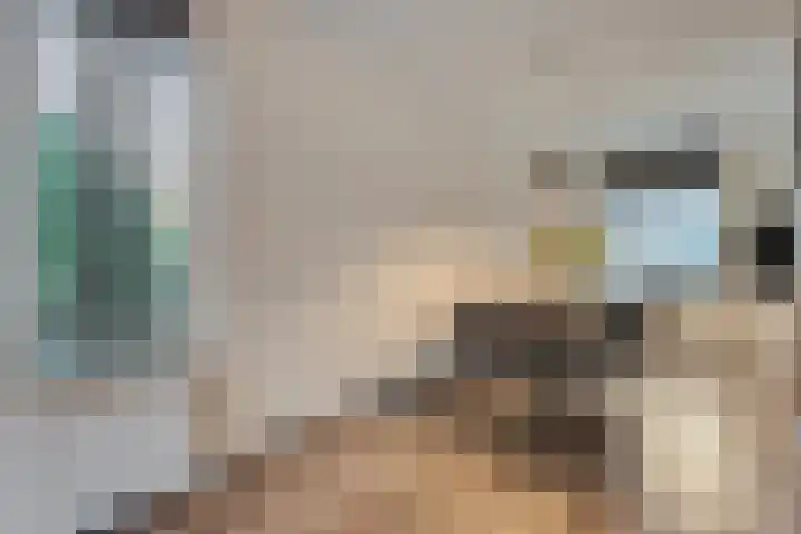De Marke van Leusen 24 Nieuwleusen thumbnail 15