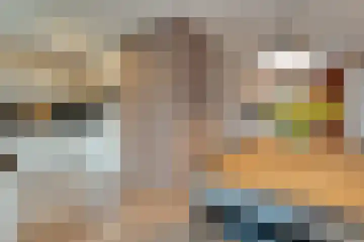 De Marke van Leusen 24 Nieuwleusen thumbnail 16