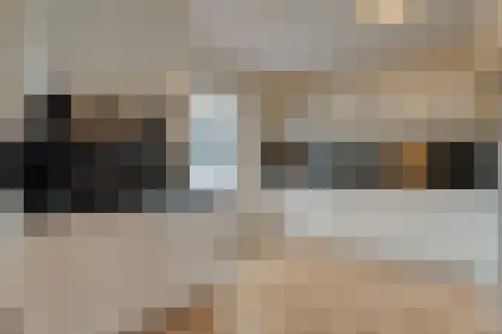 De Marke van Leusen 24 Nieuwleusen thumbnail 17