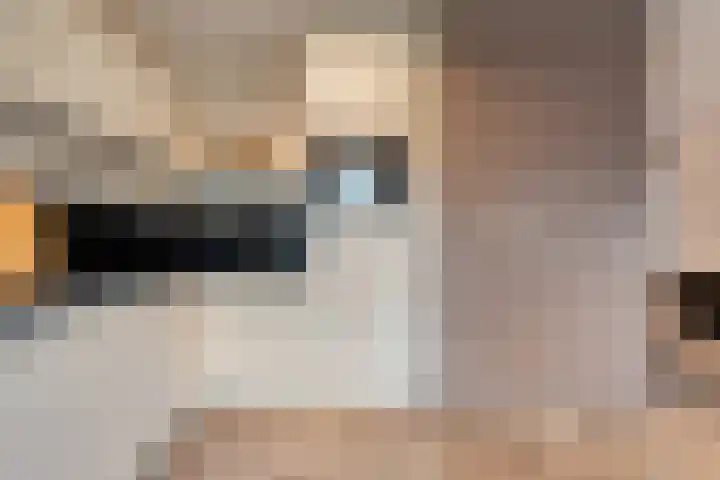 De Marke van Leusen 24 Nieuwleusen thumbnail 18