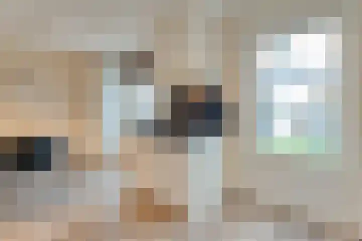 De Marke van Leusen 24 Nieuwleusen thumbnail 19